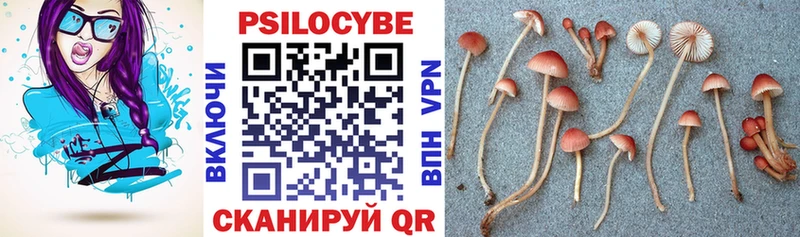 Псилоцибиновые грибы Cubensis  наркота  Альметьевск 