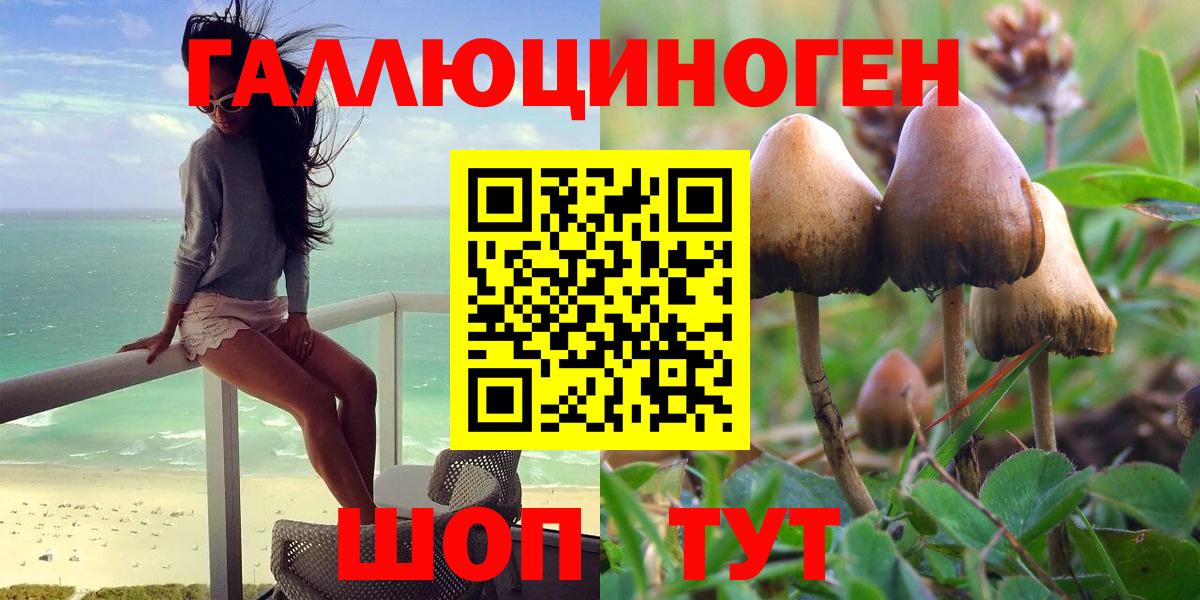 Псилоцибиновые грибы мухоморы  Псилоцибиновые грибы прущие грибы  Альметьевск 